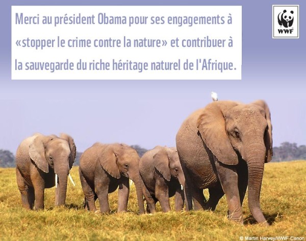 Obama s’engage à soutenir la lutte contre le braconnage en Afrique