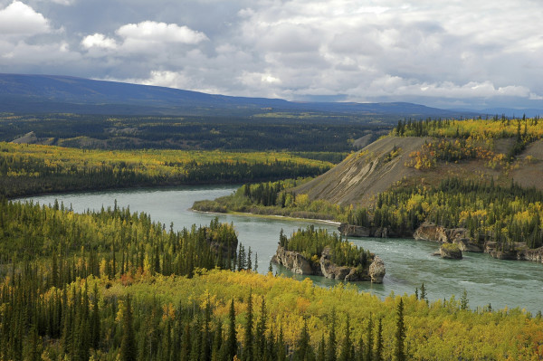 Pourquoi le fleuve Yukon est-il si précieux (et non, ça n’a rien à voir avec l’or!)