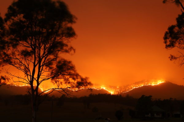 Tragédie des feux de brousse en Australie – et comment vous pouvez aider